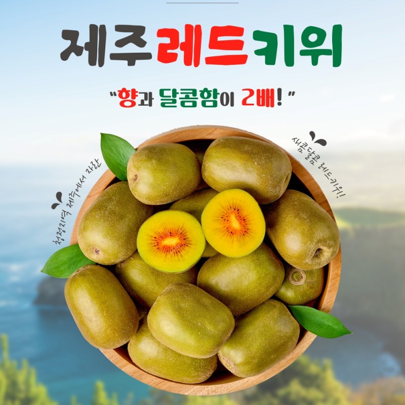 달디단 제주 레드키위 1.8kg 고당도 무화과키위 홍다래 참다래 국내산 국산